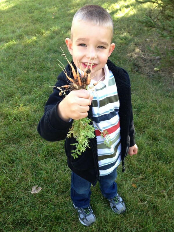child holding carrots from garden